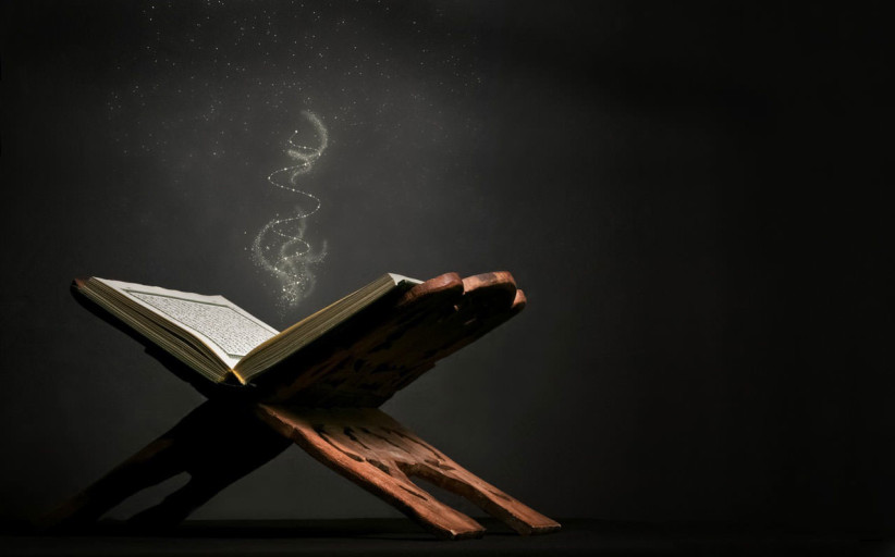 Anatomy of A WordPress Themes